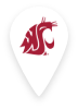 Washington State University Pin